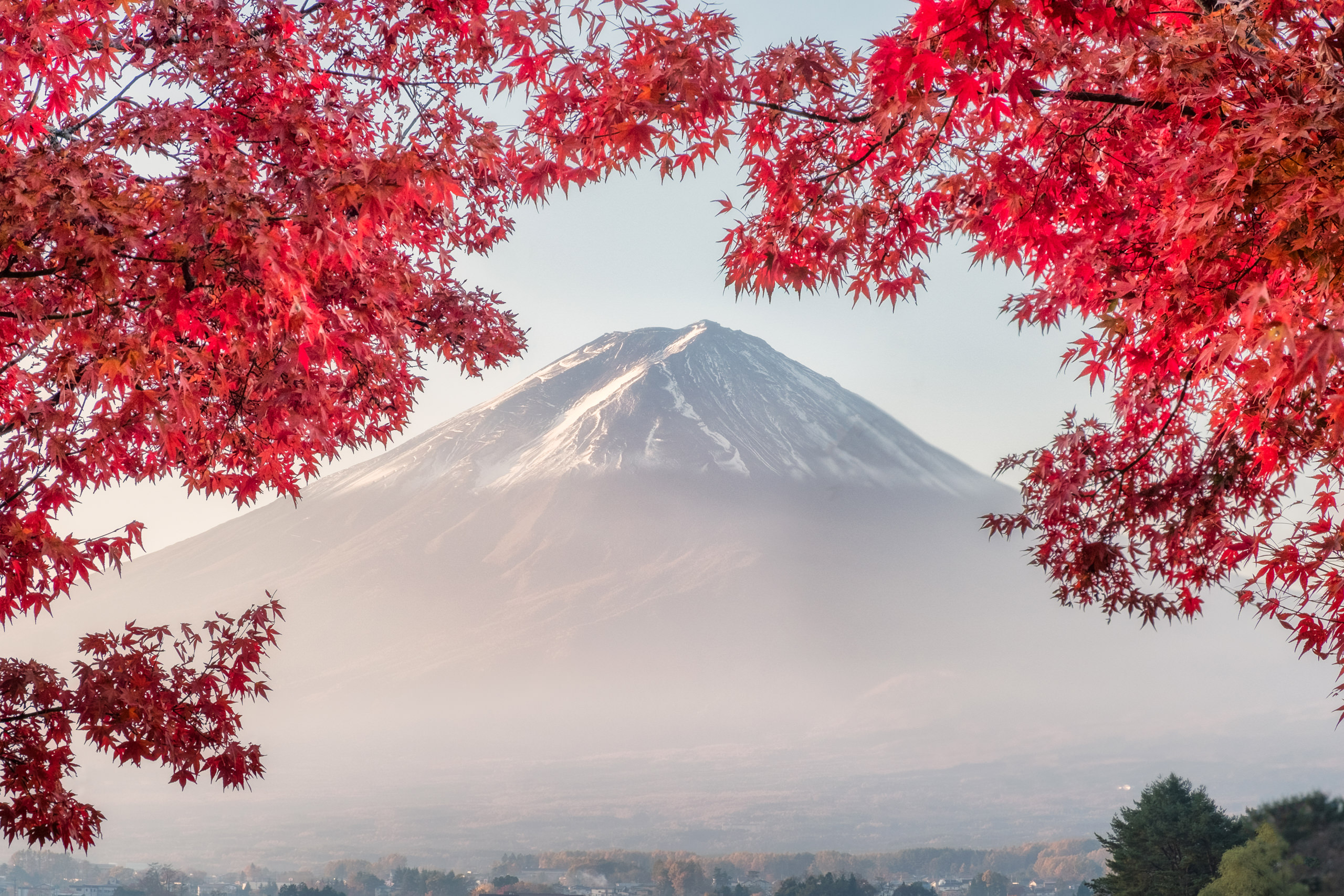 mount-fuji-with-red-maple-leaves-cover-morning-kawaguchiko-lake.jpg